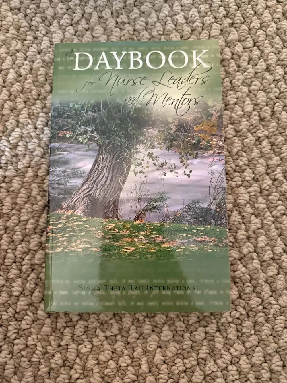 A Daybook for Nurse Leaders and Mentors (2006) - ,